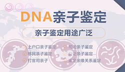 甘肃可以做亲子鉴定吗，甘肃办理亲子鉴定需要什么手续
