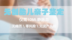 甘肃胎儿要如何办理DNA亲子鉴定，甘肃孕期血缘检测办理的条件