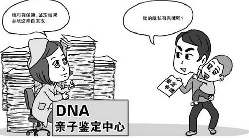 甘肃个人DNA亲子鉴定如何办理,甘肃隐私亲子鉴定准确性高吗 甘肃个人DNA亲子鉴定如何办理,甘肃隐私亲子鉴定准确性高吗