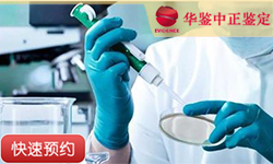 甘肃同一父系亲缘鉴定