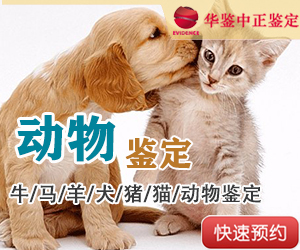 甘肃动物鉴定
